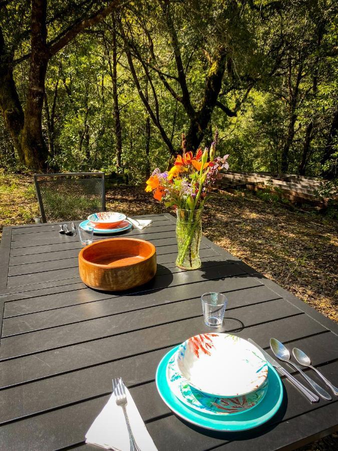 Glamping In The Redwoods With A Hot Tub! Ξενοδοχείο Garberville Εξωτερικό φωτογραφία