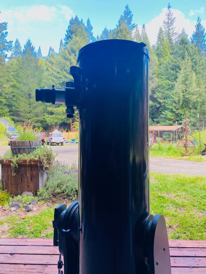 Glamping In The Redwoods With A Hot Tub! Ξενοδοχείο Garberville Εξωτερικό φωτογραφία
