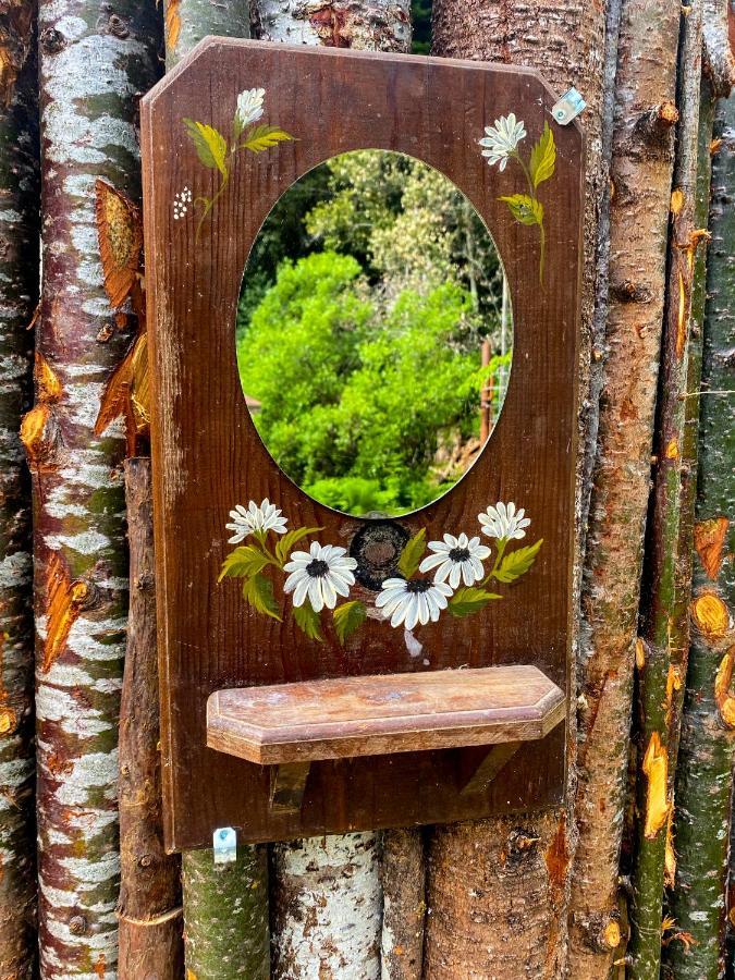 Glamping In The Redwoods With A Hot Tub! Ξενοδοχείο Garberville Εξωτερικό φωτογραφία